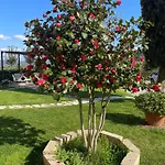 Casa Isabelle Canneto (Florence)