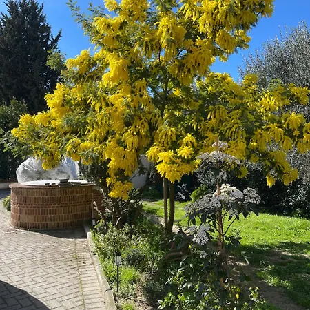 Casa Isabelle *