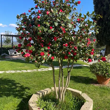 Casa Isabelle Canneto (Florence)